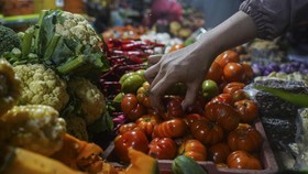 RI Inflasi 1,17 Persen April 2025 Imbas Tarif Listrik - Harga Emas