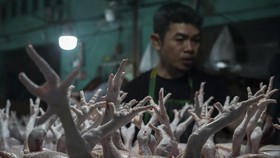 Pembeli memilih daging ayam potong yang dijual di Pasar Tradisional Toddopuli, Makassar, Sulawesi Selatan, Jumat (3/1/2025). Badan Pusat Statistik (BPS) Sulawesi Selatan mencatat inflasi sebesar 0,38 persen secara month to month dan inflasi year on y