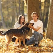Begini Cara Anjing Peliharaan Bisa Tahu Orang Toxic di Sekitarmu Menurut Penelitian