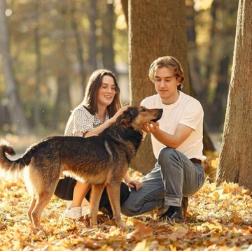 Begini Cara Anjing Peliharaan Bisa Tahu Orang Toxic di Sekitarmu Menurut Penelitian