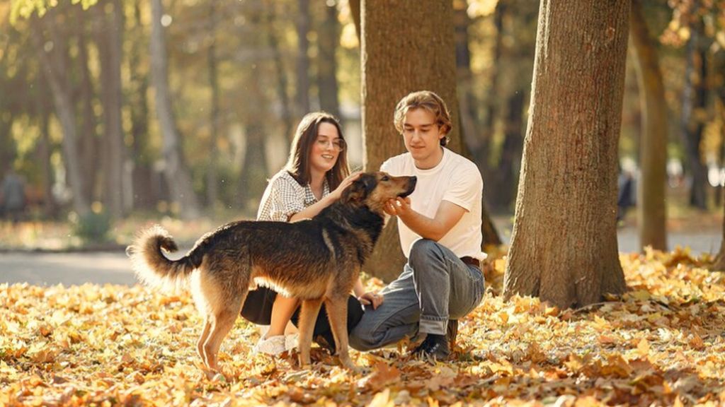 Pria Italia Latih Anjing untuk Buang Sampah Secara Ilegal