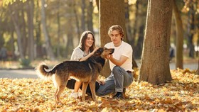 Pria Italia Latih Anjing untuk Buang Sampah Secara Ilegal