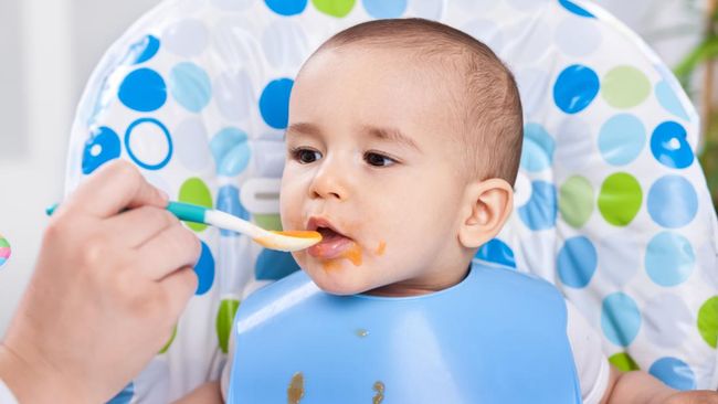 Menu MPASI Bayi Gizi Seimbang Usia 7-12 Bulan