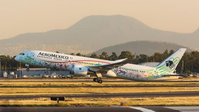 Dalam laporan Cirium, hampir 87% penerbangan maskapai Aeromexico tiba dalam waktu 15 menit dari jadwal kedatangannya.