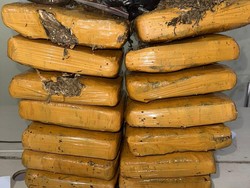 Polisi Tangkap Kurir Narkotika di Pangkalpinang, 14 Kg Ganja Disita