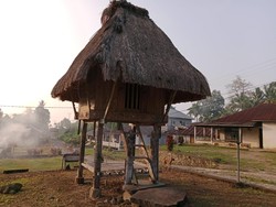 Kema Uma Gua: Tradisi Adat Menjaga Siklus Tanam di Nagekeo