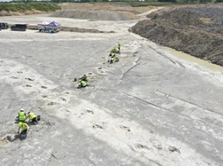 Saat Jalan Tol Dinosaurus 166 Juta Tahun Ditemukan di Inggris