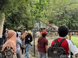 KBS Punya Event Spesial Saat Libur Lebaran, Penasaran?