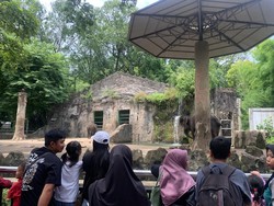 Cerita Warga Kenalkan Satwa ke Anak di Ragunan: Biar Tak Lihat Gambar Doang