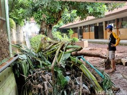 Banjir Bandang Rengel Tuban Kali Ini Disebut yang Paling Parah