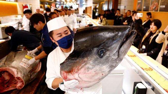 Seekor tuna sirip biru seberat 276 kilogram terjual dengan harga Rp20,8 miliar dalam sebuah lelang di Pasar Ikan Tokyo.