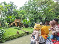 Prediksi Cuaca di Lokasi Wisata Jawa Timur 29 Januari 2024