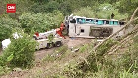VIDEO: Bus Wisata Terguling di Kolombia, 13 Orang Meninggal Dunia