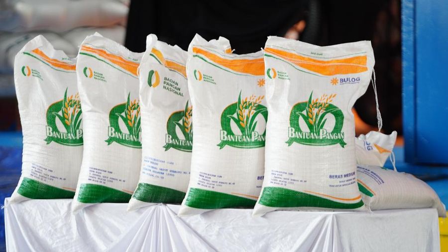 Beras Bantuan Pangan 10 Kg. (Dok: Bapanas)