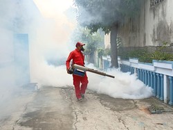 Belasan Warga Kota Kediri Terkena Chikungunya di Awal Tahun 2025