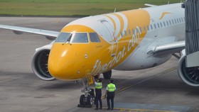 Penumpang Bentol-bentol Diduga Digigit Kutu Busuk di Pesawat Scoot