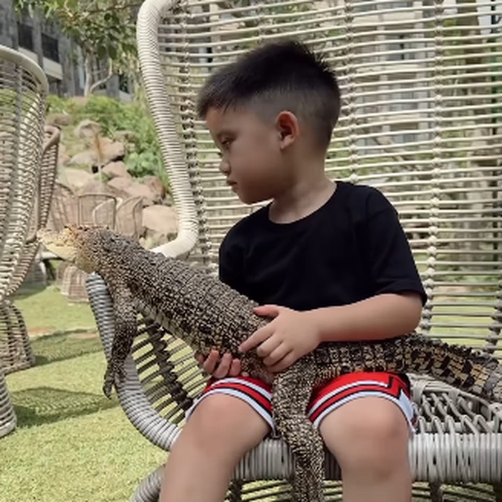 <p>"Ternyata dari lahir Athar sudah aku kenalin dengan hewan-hewan hihi. Sekarang alhamdulillah jadi suka buanget dia sama semua hewan. Mana berani banget, kadang Mamanya yang ngeri," ujar Citra serya membagikan video kompilasi Athar yang bermain dengan hewan. (Foto: Instagram: @citraciki)</p>