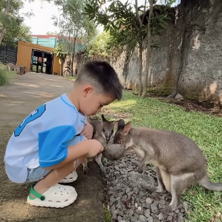 <p>Athar diketahui memang sudah dikenalkan pada hewan-hewan sejak usia dini. Namun, keberanian Athar terkadang justru memuat sang Bunda takut. (Foto: Instagram: @citraciki)</p>