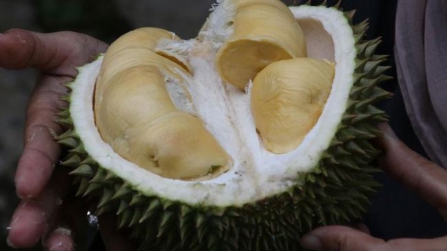 5 Makanan dan Minuman yang Dilarang Dimakan dengan Durian, Efeknya Nggak Main-main