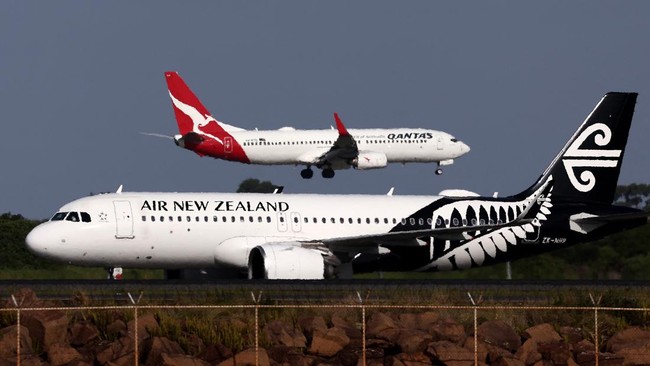 Pesawat Air NZ batal terbang sebelum lepas landas pada Senin (6/1) gara-gara tabrakan dengan burung.