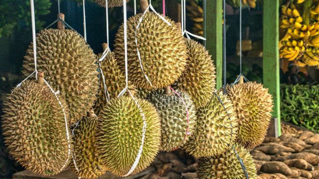 5 Destinasi Wisata Durian di Jakarta dan Sekitarnya, Ada yang Bisa Petik dan Makan dari Kebun Langsung!