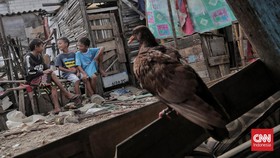BPS Catat Penduduk Miskin di Sulsel Masih 711 Ribu Orang
