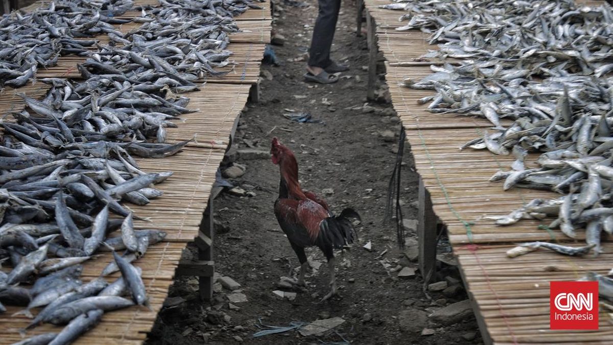 Bahaya Ikan Asin Berformalin, Ini Ciri dan Dampaknya bagi Kesehatan