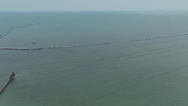 Pagar misterius terbentang 30 kilometer di laut Kabupaten Tangerang, Banten. Berikut fakta-faktanya.