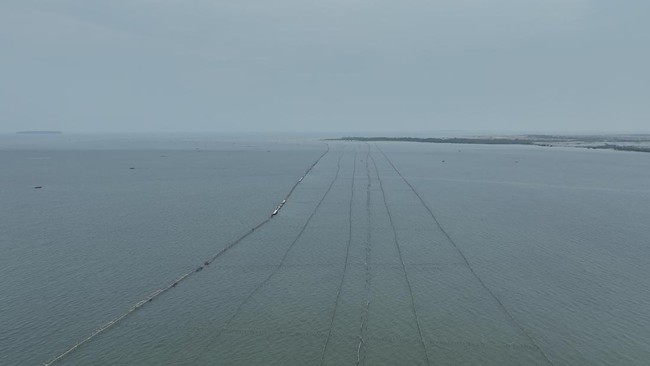 Pagar laut misterius membentang 30,16 km di 6 kecamatan pesisir Kabupaten Tangerang, Banten. Pemda Banten dan pemerintah pusat tak tahu pemilik pagar itu.