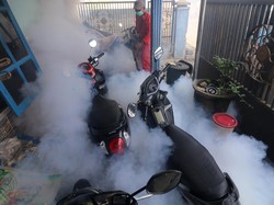 Sumut Masuk 5 Besar Provinsi dengan Laporan Chikungunya Terbanyak