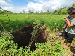 Sinkhole Sedalam 4 Meter Muncul di Sawah Pacarejo Gunungkidul