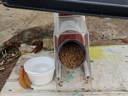 Video: Mengulik Cara Kerja Dispenser Makanan Kucing Milik Ananda Arief