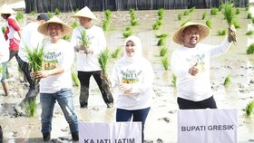 Kejati Jatim Luncurkan 'Jaksa Sahabat Tani' Dukung Ketahanan Pangan