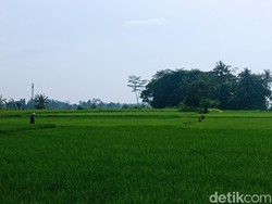 Cerita Petani Tua Tasik dalam Bayang-bayang Kekhawatiran