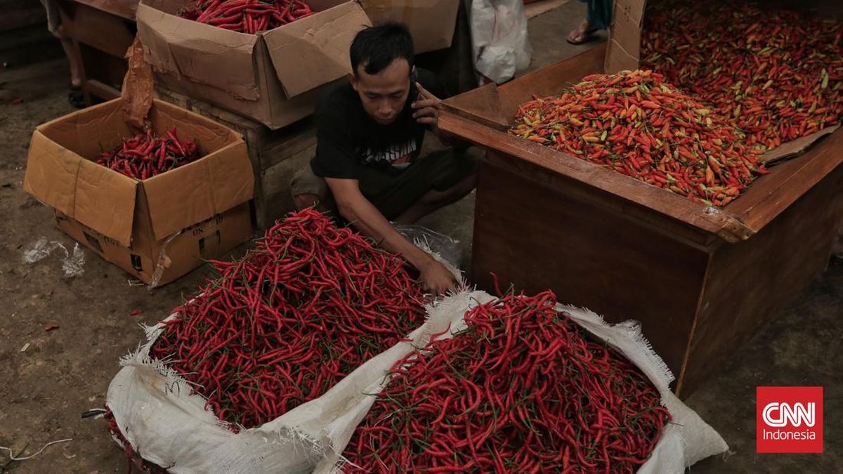 RI Deflasi 0,37 Persen Pada Mei 2025 Gara-gara Cabai Murah