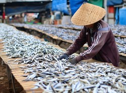 Benarkah Ikan Asin Memicu Kanker? Ini Penjelasannya