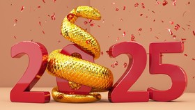 Peruntungan Shio di Tahun 2025: Shio Tikus hingga Ular