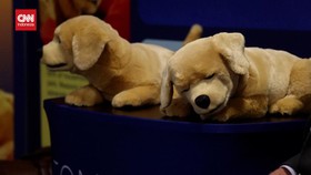 VIDEO: Jeanie, Robot Anak Anjing Buat Pendamping Lansia Demensia