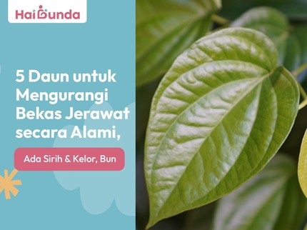5 Daun untuk Mengurangi Bekas Jerawat secara Alami, Ada Sirih & Kelor, Bun