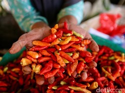 Harga Sembako Jatim 6 Mei 2025, Cabai dan Daging Ayam Kampung Turun