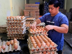 Harga Sembako Jogja Hari Ini 17 Februari 2025: Telur-Daging Ayam Kompak Naik!