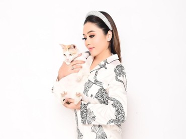 img-title Geramnya Lirabica Usut Larangan Beri Makan Kucing Tak Bertuan di Kelapa Gading