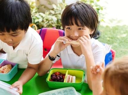 Cara Hadapi Anak Picky Eater saat Ikut Program Makan Bergizi Gratis di Sekolah Menurut Dokter