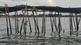 Alasan Nusron Cabut SHGB Pagar Laut Tangerang