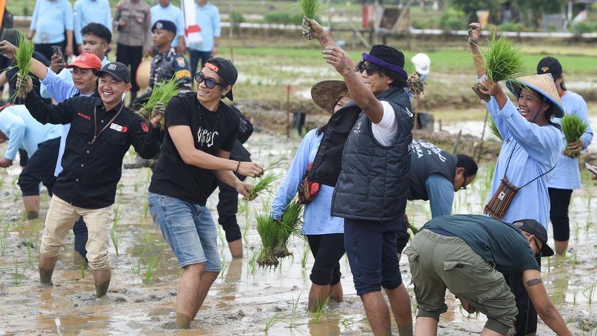 FOTO: Slank Tanam Padi di Bekas Lahan Tambang Kaltim