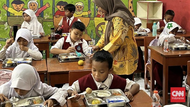 Menu MBG nan disajikan di sekolah itu meliputi nasi putih dengan lauk telur rebus dan tumis wortel. Kemudian satu buah jeruk dan susu kotak susu UHT.