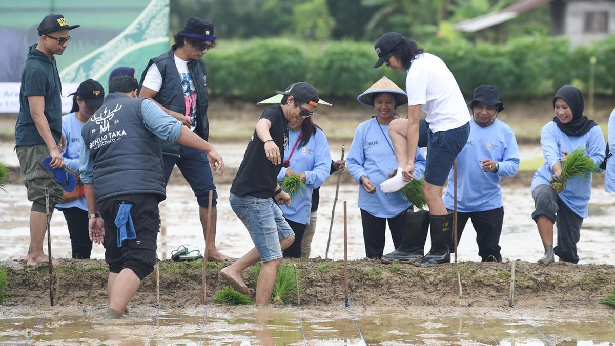 FOTO: Slank Tanam Padi di Bekas Lahan Tambang Kaltim