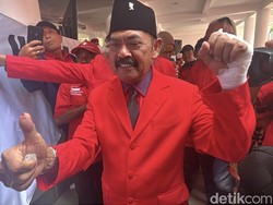 FX Rudy: Megawati Satu-satunya Ketua Umum Taat Konstitusi