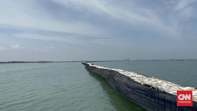 Somasi Tak Digubris, Muhammadiyah Akan Polisikan Pemasang Pagar Laut Muhammadiyah akan melaporkan pihak yang memasang pagar laut sekitar 30 km di pesisir utara Tangerang ke Mabes Polri.