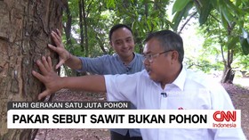 VIDEO: Pakar Sebut Sawit Bukan Pohon